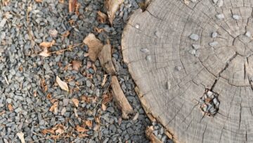 Новые правила въезда в Египет: что нужно знать российским туристам