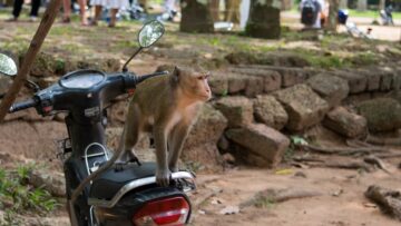 В Госдуме рассчитывают на возобновление работы ростовского аэропорта в ноябре.