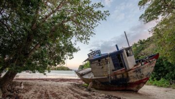 Туристы получили компенсацию в 239 тысяч рублей за номер с клопами