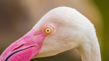 Экоактивисты протестовали у Стоунхенджа в Великобритании