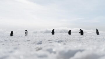 В Норильске из-за неблагоприятных погодных условий приостановлено авиасообщение.