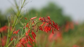 Белорусские экскурсионные туры пользуются всё большей популярностью в осенний сезон