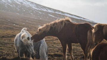 В Таиланд прибыло много туристов из России: страна вошла в топ-5