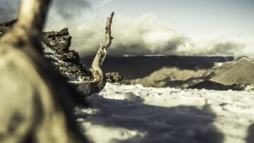 Российским туристам не придется платить больше за визу в Египет