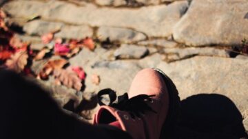 В аэропорту Внуково завершены работы по устранению проблем с багажом Turkish Airlines