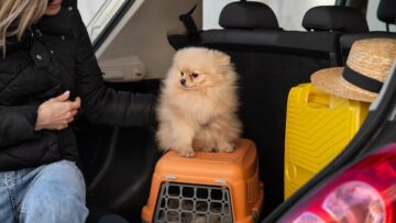 В Мехико потерпел крушение туристический вертолёт: есть жертвы