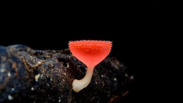 Отель в турецком Белеке предупредил отдыхающих о недопустимости посещения сауны без одежды.