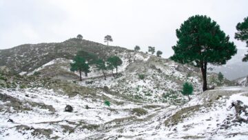 Southwind Airlines приостановила полеты из Минска в Стамбул в связи с закрытием воздушного пространства ЕС.