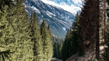 Новогодние каникулы чаще всего выбирают для поездок в Санкт-Петербург