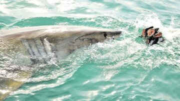 Паром, следовавший из Турции, ожидает отбуксировку в Сочи.